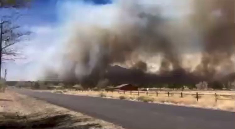 The Tunnel Fire is estimated to be 100+ acres and 0% containment.  Fire is rapidly spreading in a northeast direction due to high winds with medium-to-high-range spotting occurring in timber and grass. 50 MPH wind gusts on site. Video: @ElevatedTrail  wildfire fire tunnelFire