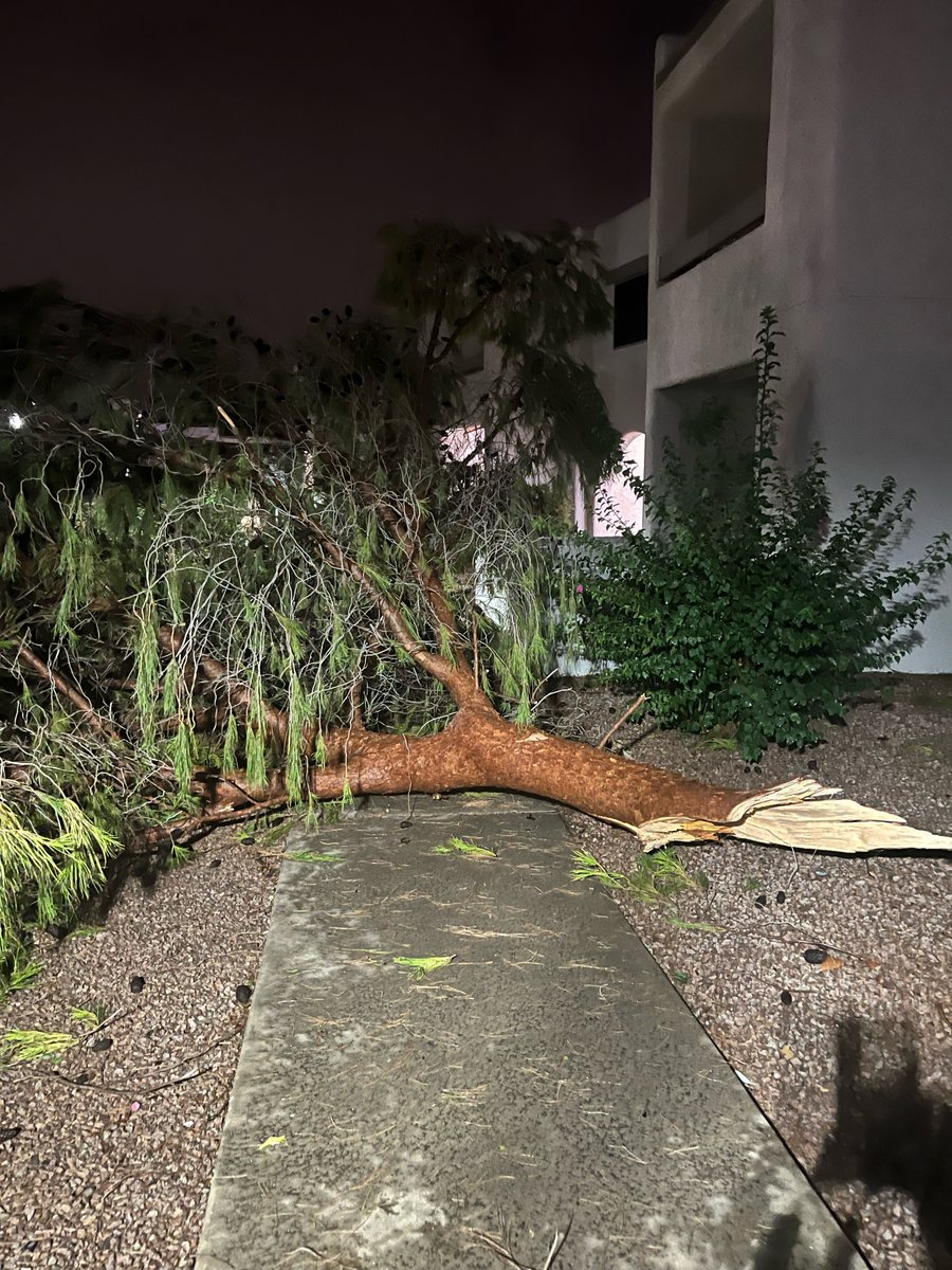 An apartment complex in Scottsdale saw big storm damage as multiple trees fell near Hayden Road and Via de Ventura 