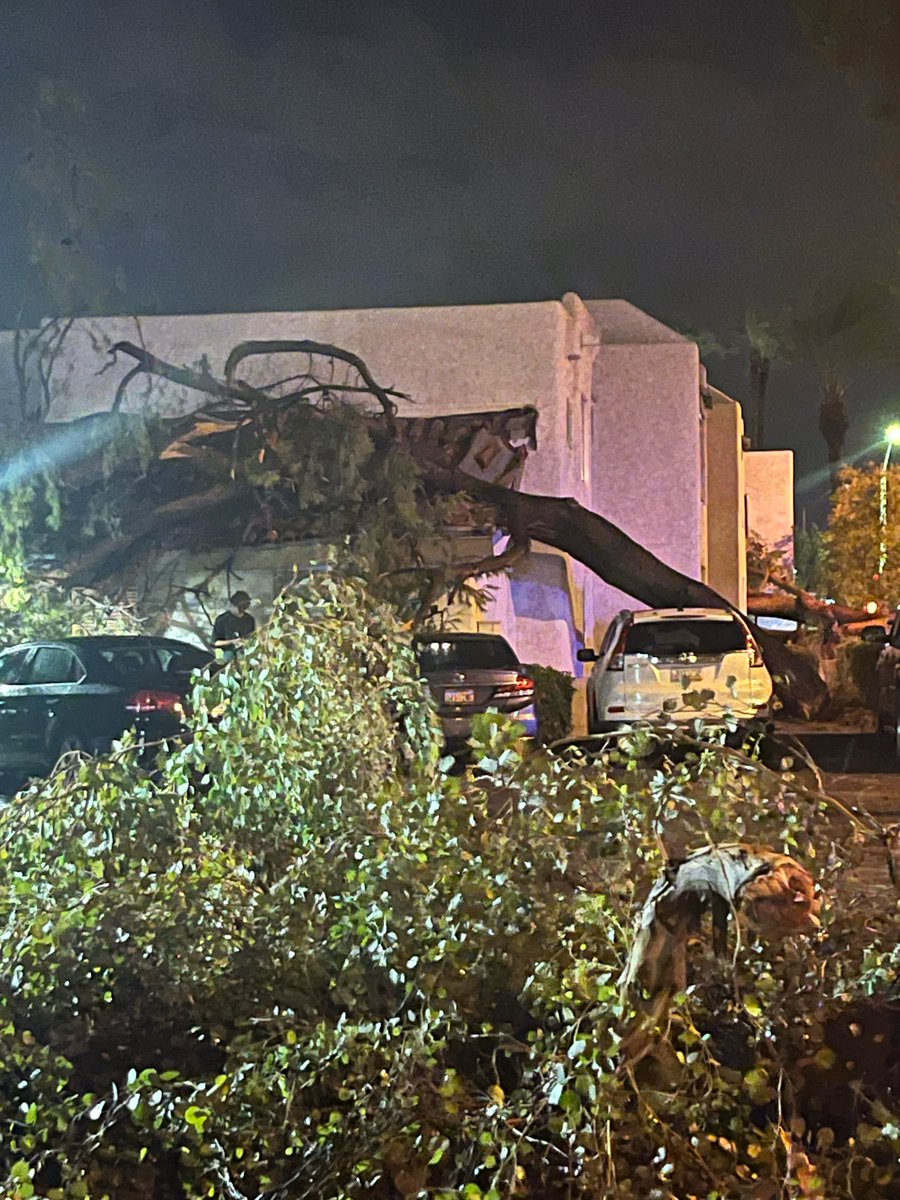 An apartment complex in Scottsdale saw big storm damage as multiple trees fell near Hayden Road and Via de Ventura 