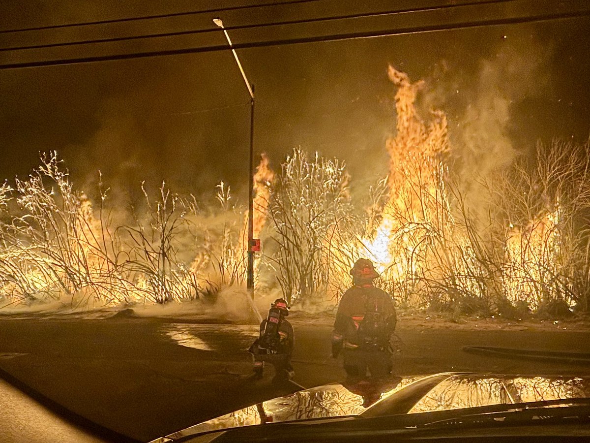LARGE BRUSH FIRE Tucson Fire was dispatched to a tree fire at 9:14 last night at 2545 South Treat Avenue. Engine 11 arrived eight minutes later and reported a large fire burning in oleanders, and requested a second unit.  